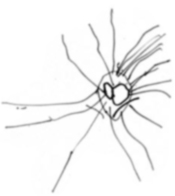 "Колючка номер два", рисунок Лены