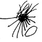 "Паук с яйцом", художник Лена