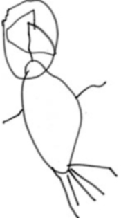 "Ворона Б.", рисунок Лены